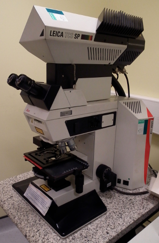 Leica SP Scanning Confocal Microscope