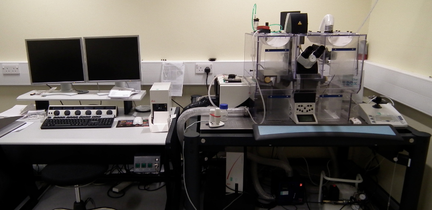 Leica SP5 Scanning Confocal Microscope - Inverted