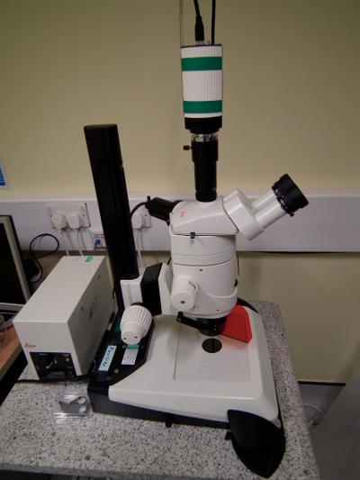 Leica Fluorescence Stereo Microscope