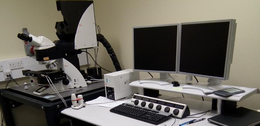 Leica SP5 Scanning Confocal Microscope - Upright